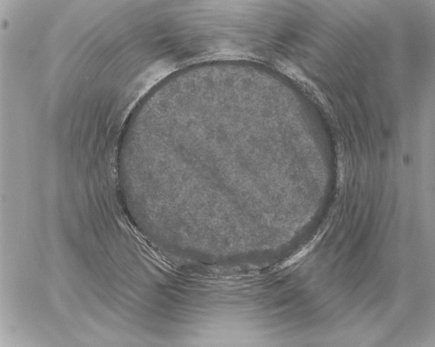 X0000061731170200512302138