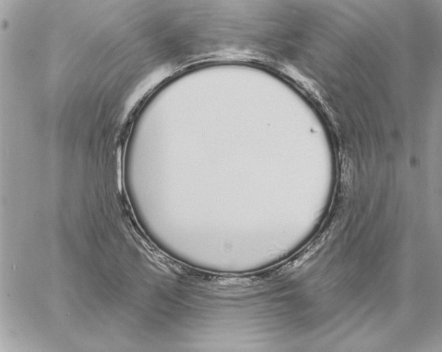 X0000061731171200512302138