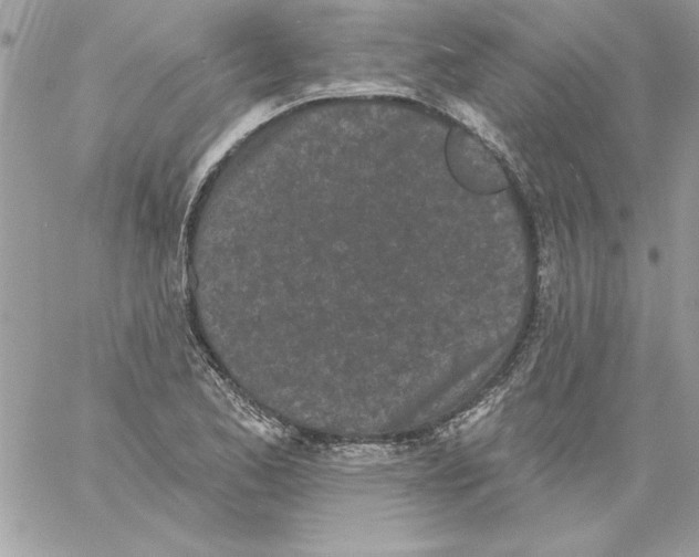 X0000061731173200512302138