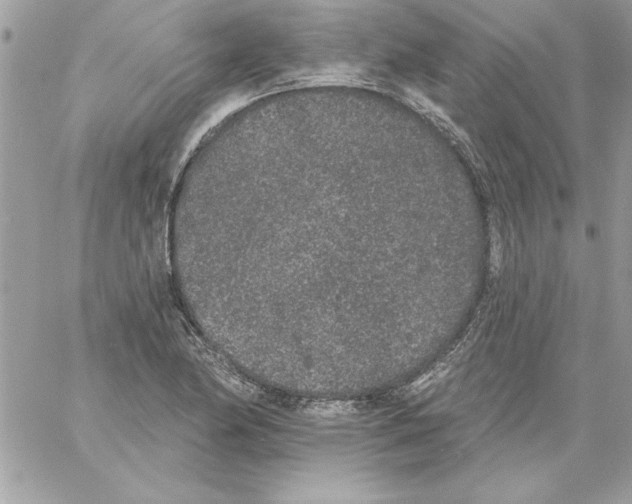 X0000061731174200512302138