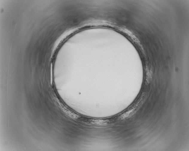 X0000061731175200512302138