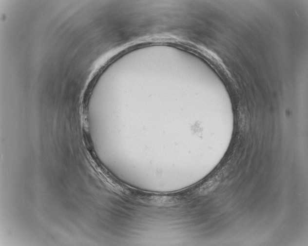 X0000061731176200512302138