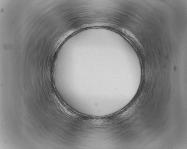 X0000061731177200512302138