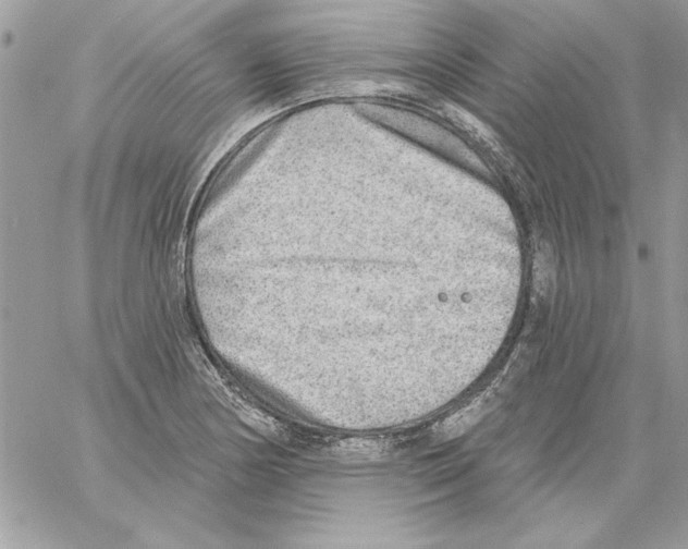 X0000061731178200512302138