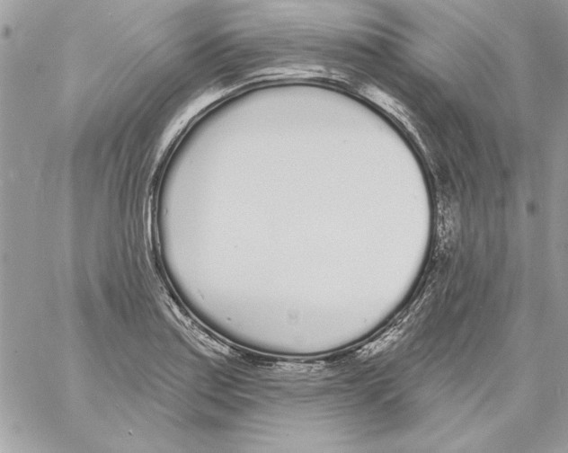 X0000061731179200512302138