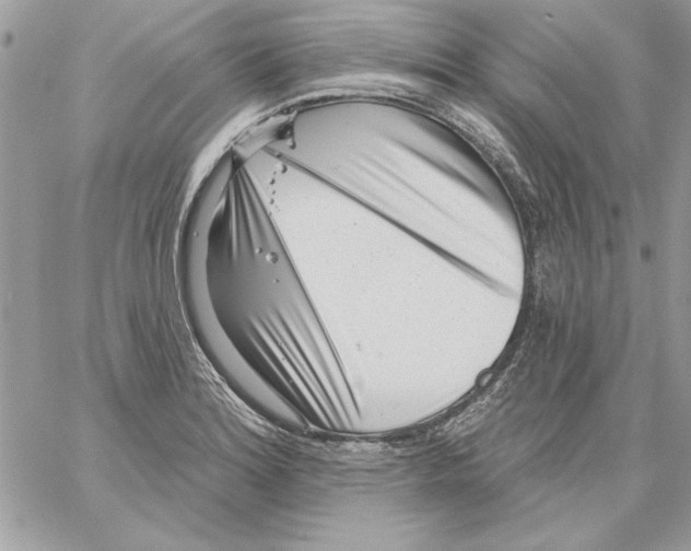 X0000061731180200512302138