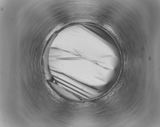 X0000061731181200512302138