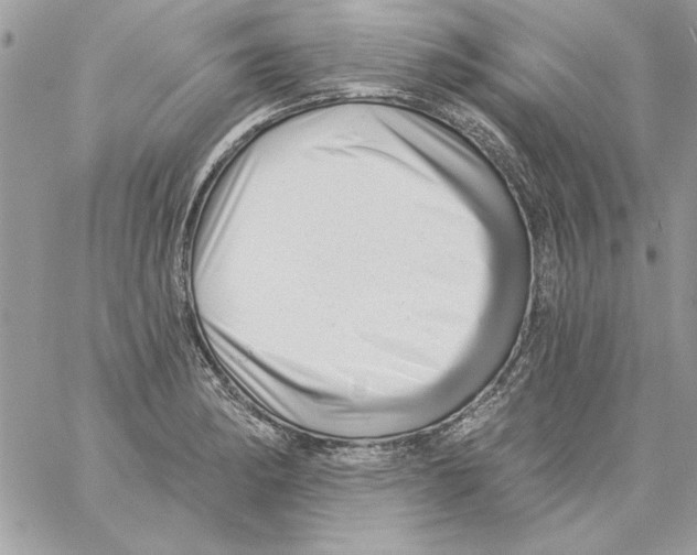 X0000061731182200512302138