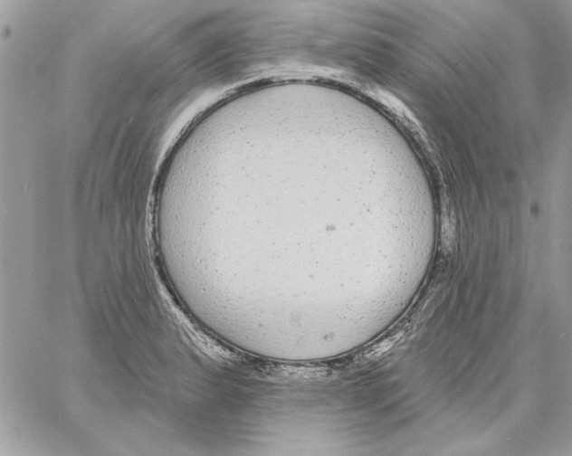 X0000061731183200512302138