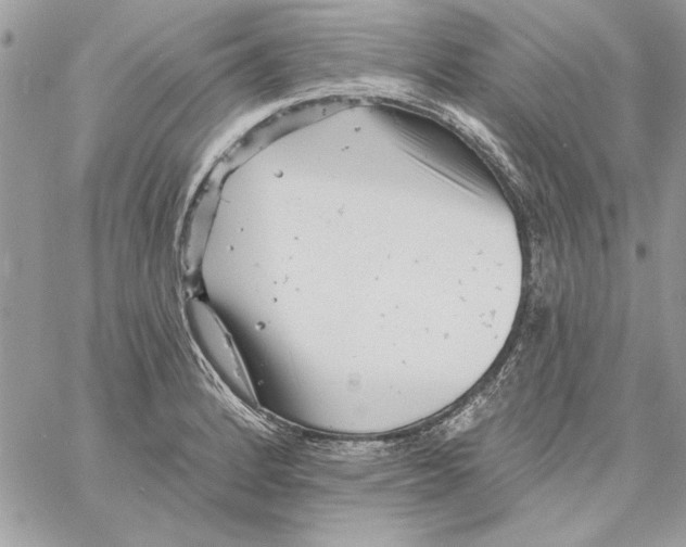 X0000061731184200512302138