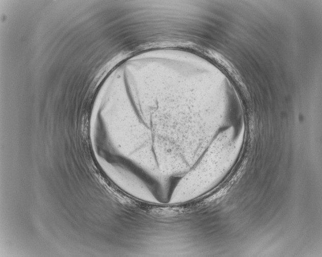 X0000061731185200512302138