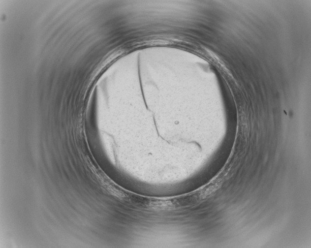 X0000061731186200512302138