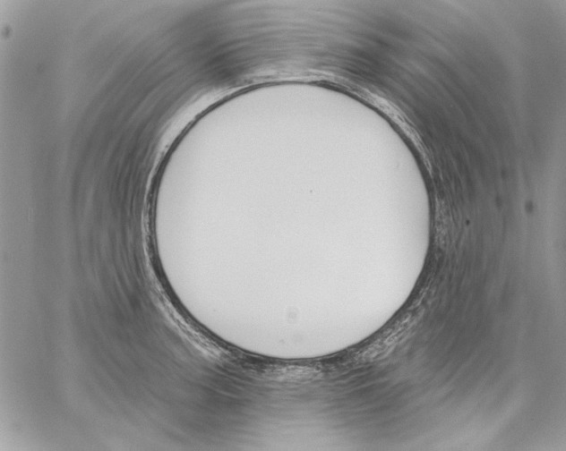 X0000061731187200512302138