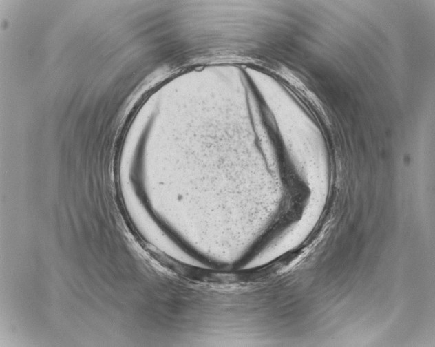 X0000061731189200512302138