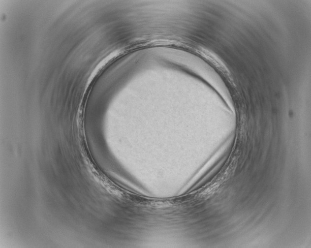 X0000061731190200512302138