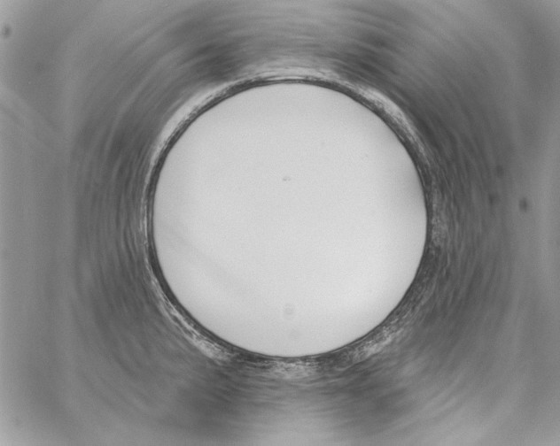 X0000061731191200512302138