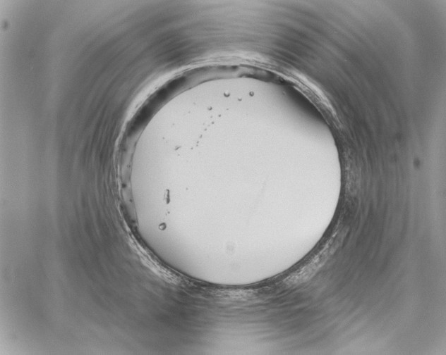 X0000061731192200512302138