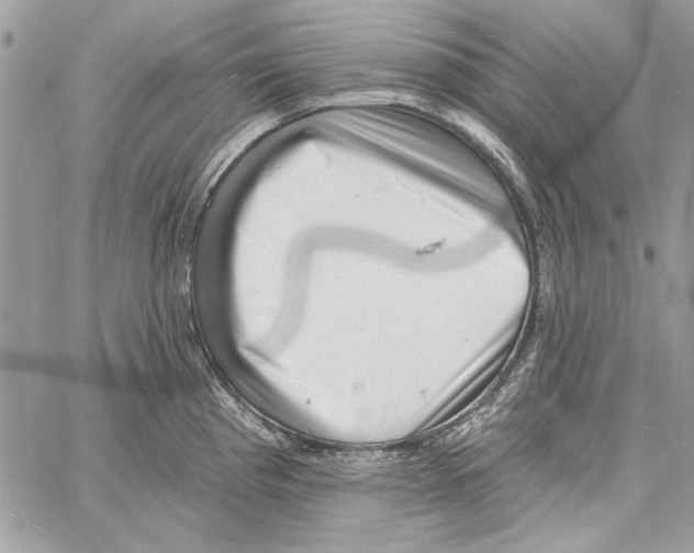 X0000061731193200512302137