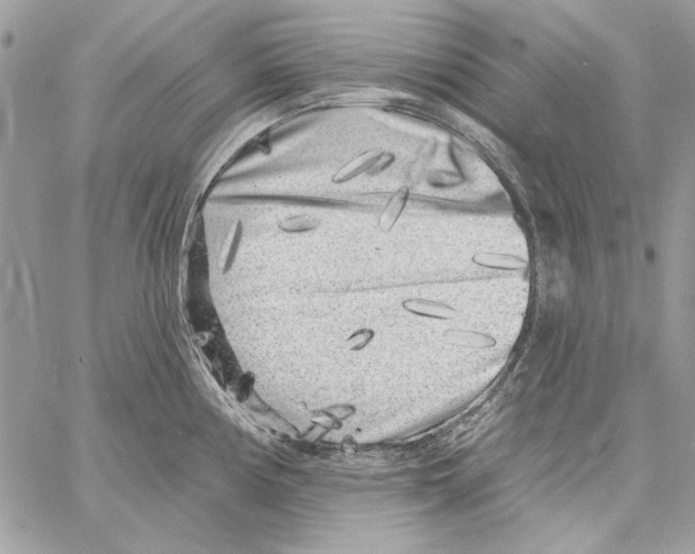 X0000061731194200512302137