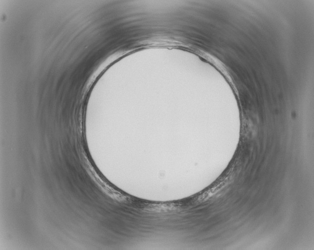 X0000061731195200512302137