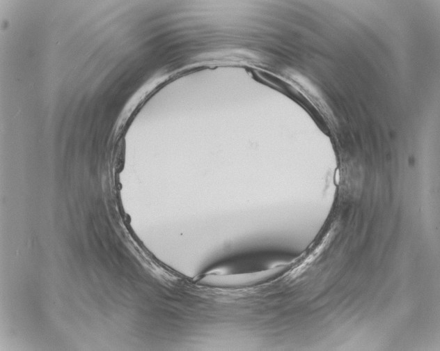 X0000061731196200512302137