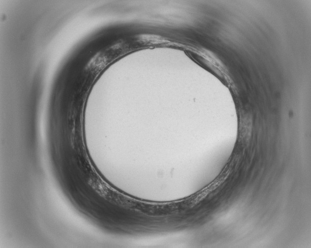 X0000061731199200512302137