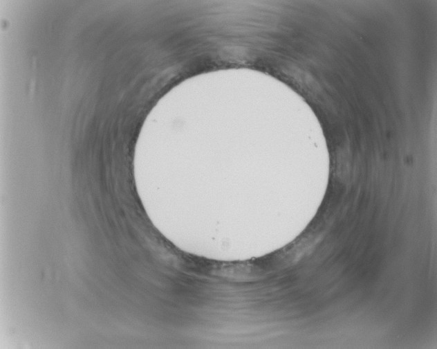 X0000061731201200512302137