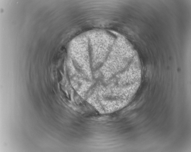 X0000061731202200512302137