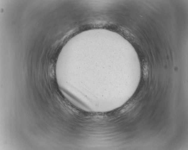 X0000061731204200512302137