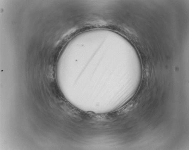 X0000061731205200512302137