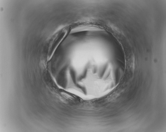 X0000061731206200512302137