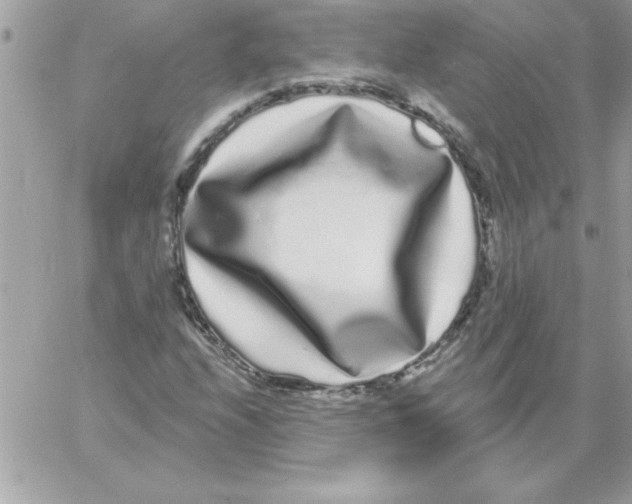 X0000061731208200512302137