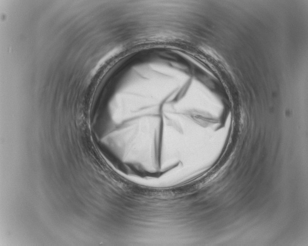 X0000061731210200512302137