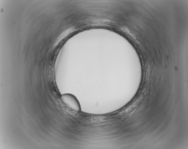 X0000061731211200512302137