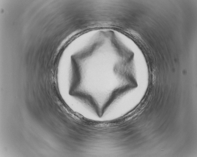 X0000061731212200512302137