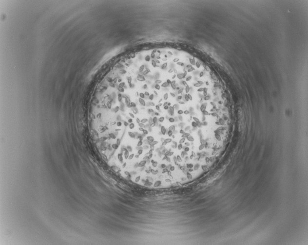 X0000061731213200512302137