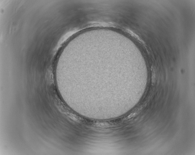 X0000061731215200512302137