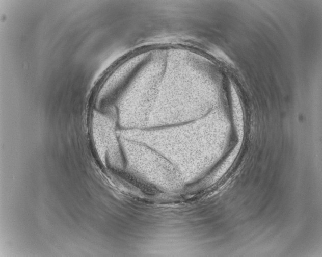 X0000061731216200512302137