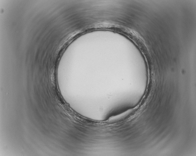 X0000061731217200512302137