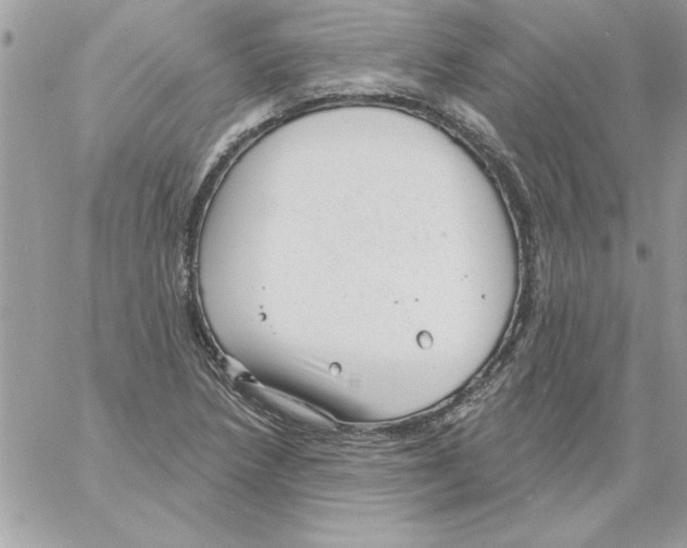 X0000061731218200512302137