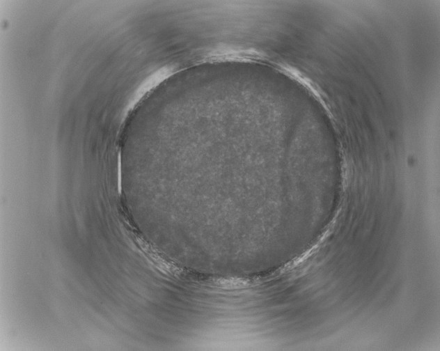 X0000061731219200512302137