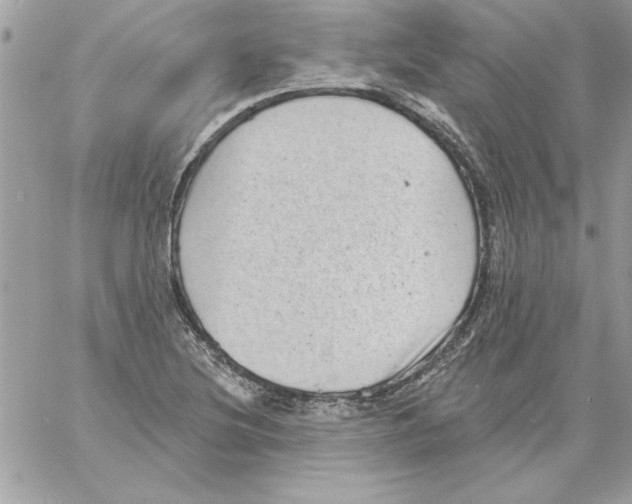 X0000061731220200512302137