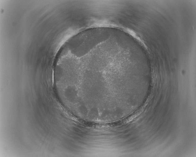 X0000061731221200512302137