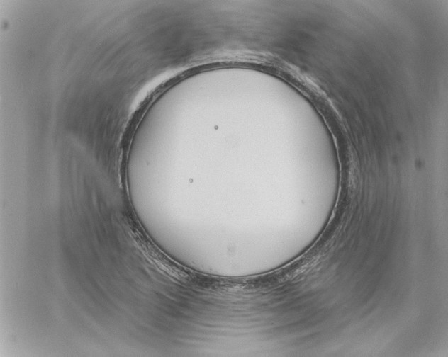 X0000061731222200512302137