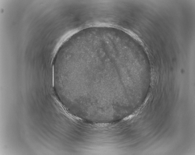 X0000061731223200512302137