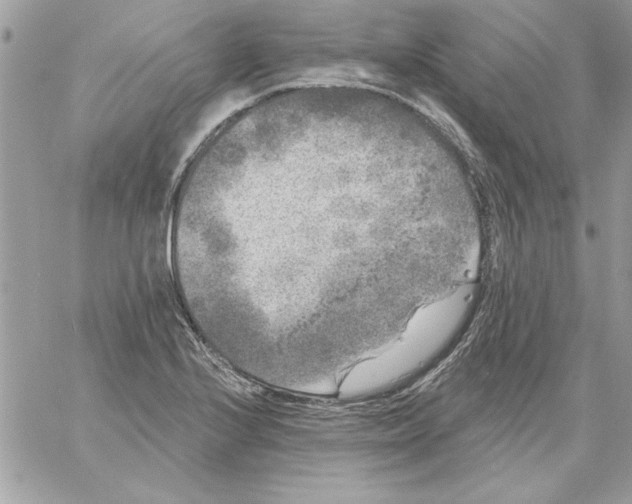 X0000061731224200512302137