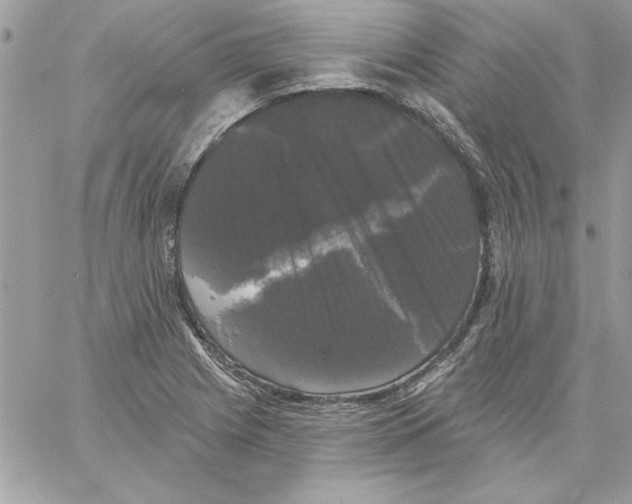 X0000061731225200512302137