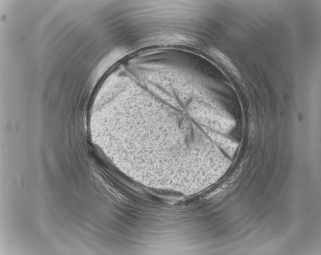 X0000061731226200512302137