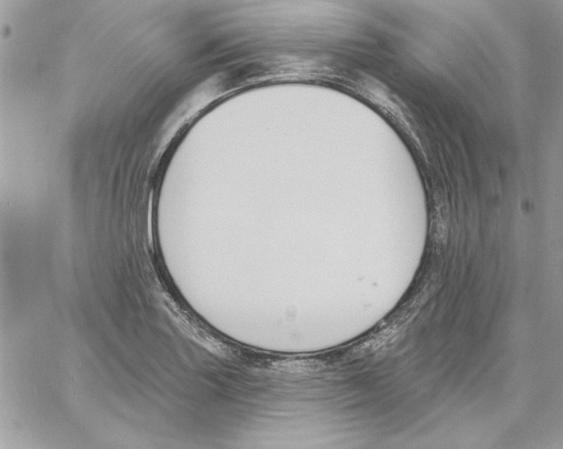 X0000061731227200512302137