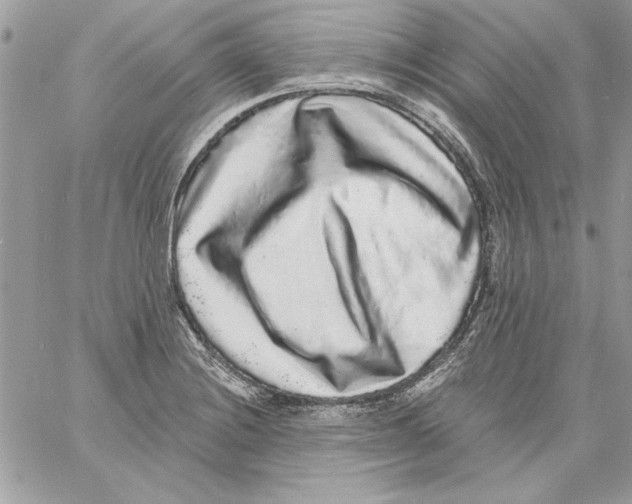 X0000061731228200512302137